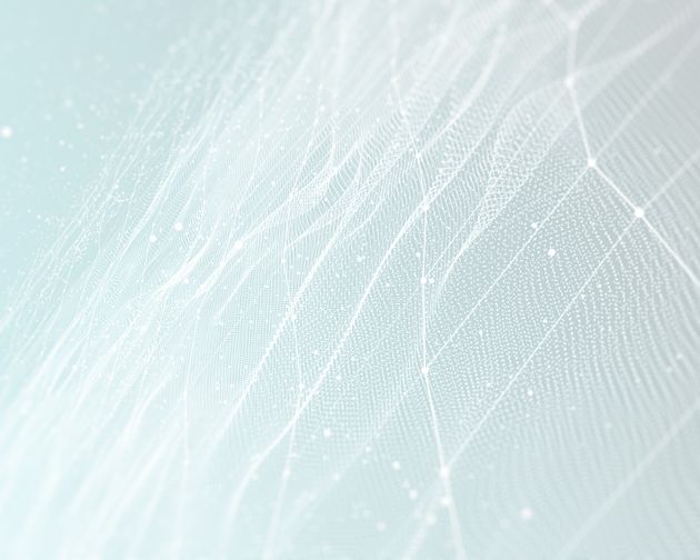 Corporate Governance Primer